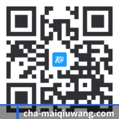 iOS 系统版 二维码